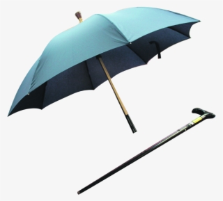 2 In 1 Umbrella And Walking Stick - Umbrella Walking Stick Singapore #5961204