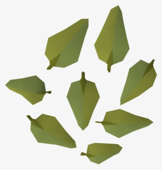Wiki #5961517