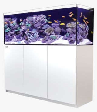 Red Sea Reefer - Red Sea Reefer 350 #5965030