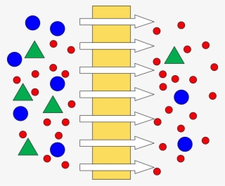 File - Dead-end - Svg - Mechanism Of Membrane Separation #5965036 File - Dead-end - Svg - Mechanism Of Membrane Separation #5965036