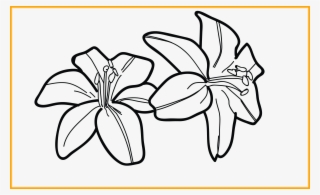 Awesome Of A Tiger - Tiger Lily Easy Outline Drawing #5965980