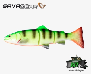 Savage Gear 3d Line-thru Trout - Savage Gear 3d Line Thru Trout #5968727
