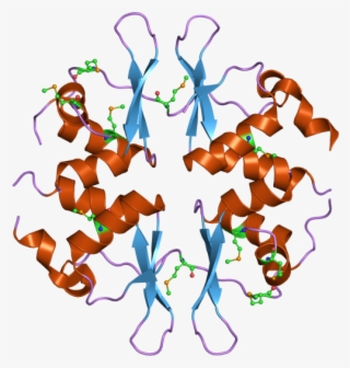 Pdb 2nye Ebi - Structure Of Clcn1 Protein #5970054