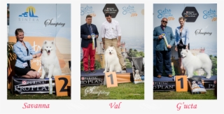 Sintra Dog Show - Camara Municipal De Sintra #5970545