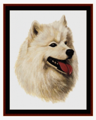 May Cross Stitch Pattern By Cross Stitch Collectibles - Samoyed Robert J May #5970652