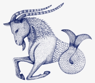 Aries - Drawing Of A Capricorn #5972362