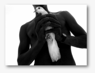 Dove - Human #5973640