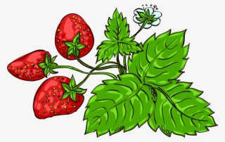 Jpg Black And White Download Strawberry Fragaria Viridis - Vẽ Lá Cây #5974232