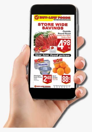 We Do Not Spam, Your Email Address Is Kept Secure #5974628