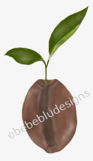 Coffee Bean - Lighter #5976044