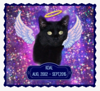 I Didn't Know Koal Very Well, But His Passing Makes - Attaboy Clarence Square Car Magnet 3" X 3" #5976141