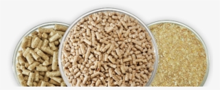 Broiler, Layer & Fish Feed - Cattle And Poultry Feeds #5976326