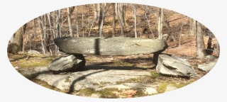 Edit Bench - Wood #5977161