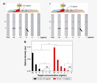 The Effect Of Antibody Concentration At The Test Line - Architecture #5979058