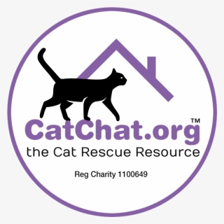 Pr Manager For National Online Cat Rehoming Charity, - Cat #5979508