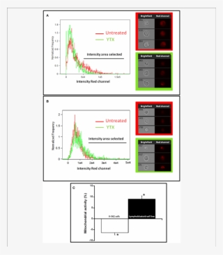 Effect Of Ytx On Total Mitochondrial Mass Of K-562 - Cell #5979576