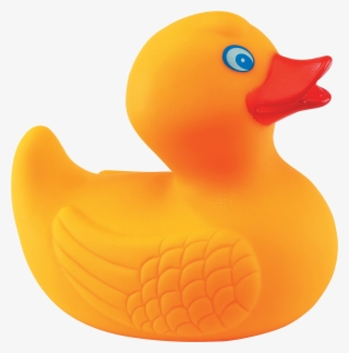 Yellow Duck Png #5980146