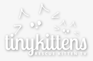 Logo White Rktv - Educating Globally #5980199