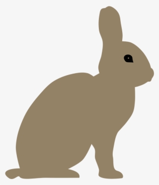 Rabbit By Rones #5980200
