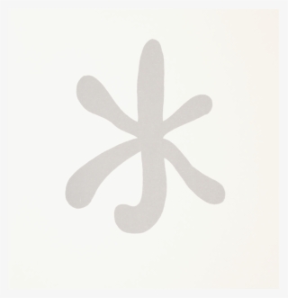 Still Life Photography #5980938