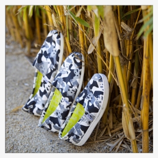 Toms Shoes Logo Png #5984706