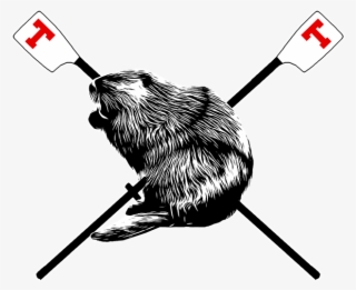 If You Are Interested In Joining Our Ranks, Please #5986191