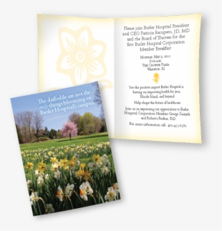 August 29, 2014 - Tulip #5986876