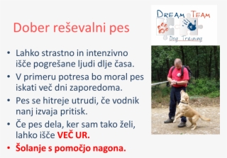 Dreamteam - Dog Catches Something #5987169