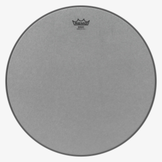 Remo Banjo Head Renaissance-medium Collar, 11" - Circle #5987338