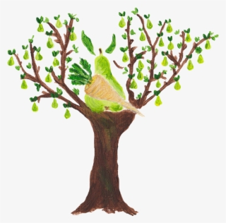 The 12 Veg Of Christmas - Parsnip In A Pear Tree #5987670