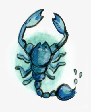 Scorpio - Chesapeake Blue Crab #5987712