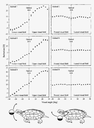 Refraction Of The Eye Was Determined At The Optical - Diagram #5988152