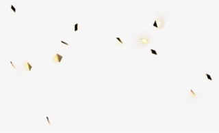 Special Xmas Limited Edition Collector - Bird #5989694