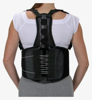 Northeast Orthotics And Prosthetics Orthomerica Eco - Brace For Spine #5990643