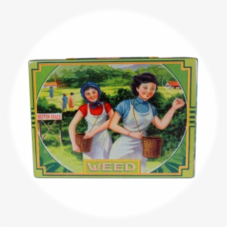 Blue Q Tin Box, Pocket Box, Weed #5991220