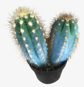 Blue Candle Mini - Blue #5992449