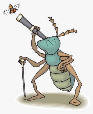 Cartoon, Telescope, Bug, Fly, Flying, Watching, Insect - Science #5995750
