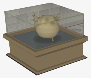 Petrified Pufferfish Display - Pufferfish #5997321