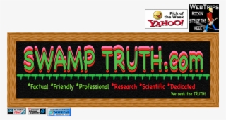 Swamp Truth - Yahoo 360 #5997587