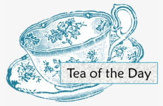 Today's Tea Is Ancient Orange - Illustration #5997853