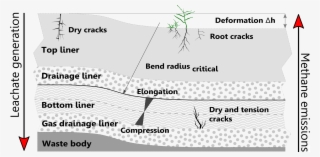 Graphical Abstract - Abstract #5998620
