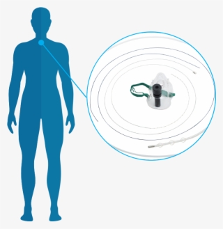Bronchus And<br>esophagus Applicators - Body-opedia Name That Body Part By Speedy Publishing #5998732