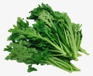 Garland Chrysanthemum - Parsley #5998779