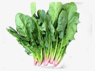 The Problems That Current Nuclear Plants Have - Vegetable #5998818