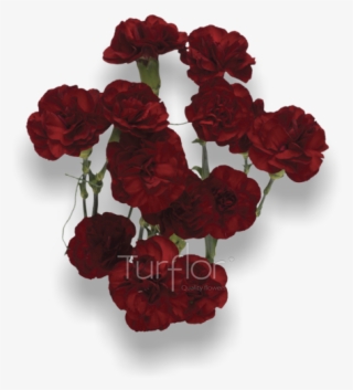 Calgary International Airport #5999552