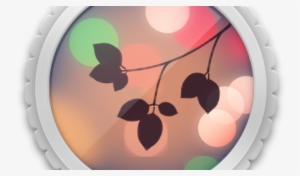 โหลด กล้อง หน้า ชัด หลัง เบลอ #60181