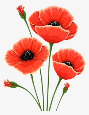 Salt Houses By Hala Alyan #60261