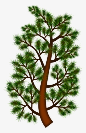 This Free Icons Png Design Of Pine Tree Branch #60310