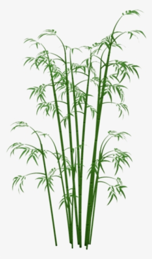 Free Png Bamboo Png Png Images Transparent - Bamboo Png #60574