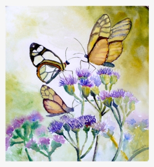 Butterflies - Watercolour Butterfly On Flower #60821